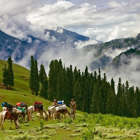 Picture of KAGHAN  VALLEY TOUR