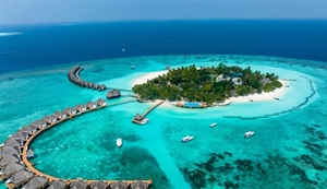 Picture for category MALDIVES